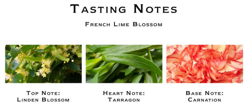 Jo Malone London French Lime Blossom Tasting Notes