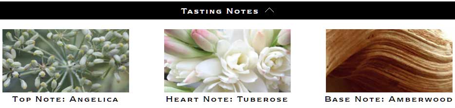 Jo Malone Limited Edition Tuberose Angelica Notes