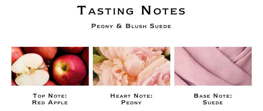 Jo Malone Peony & Blush Suede Cologne Notes