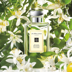 Jo Malone Orange Blossom Poster