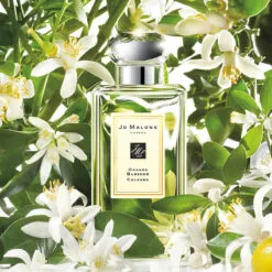 Jo Malone Orange Blossom Poster