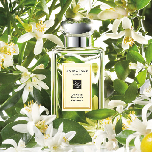 Jo Malone Orange Blossom Poster