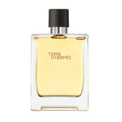Terre dHermes Men 100ml