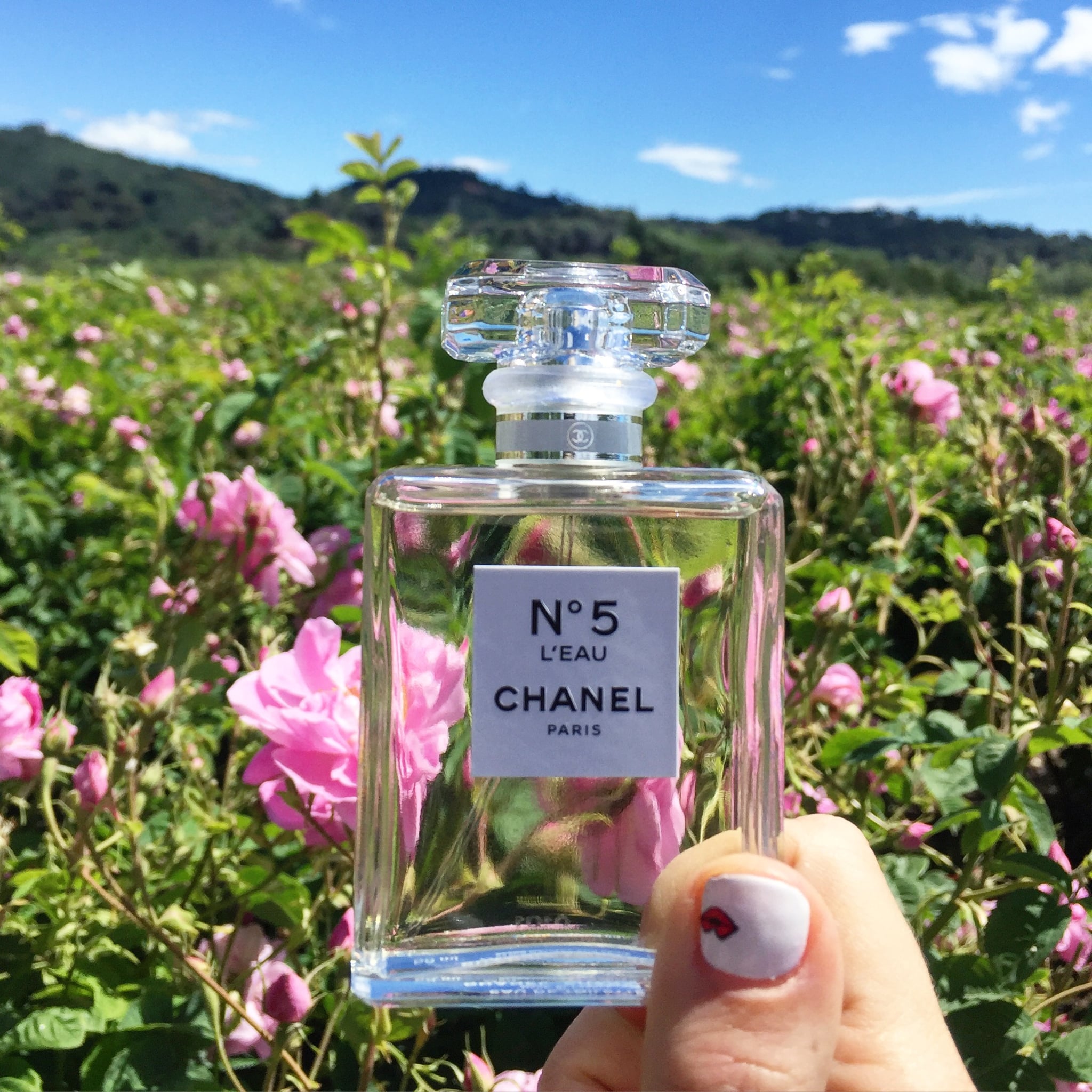 Perfume Chanel Leau N°5 x 100ml - Superi Farma