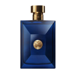 Versace Pour Homme Dylan Blue 100ml