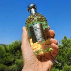 Guerlain Aqua Allegoria Forte Nerolia Vetiver