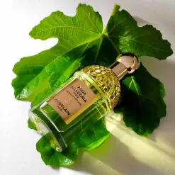 Guerlain Aqua Allegoria Forte Nerolia Vetiver