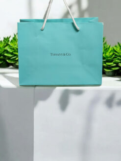 Tiffany and Co Paper Bag