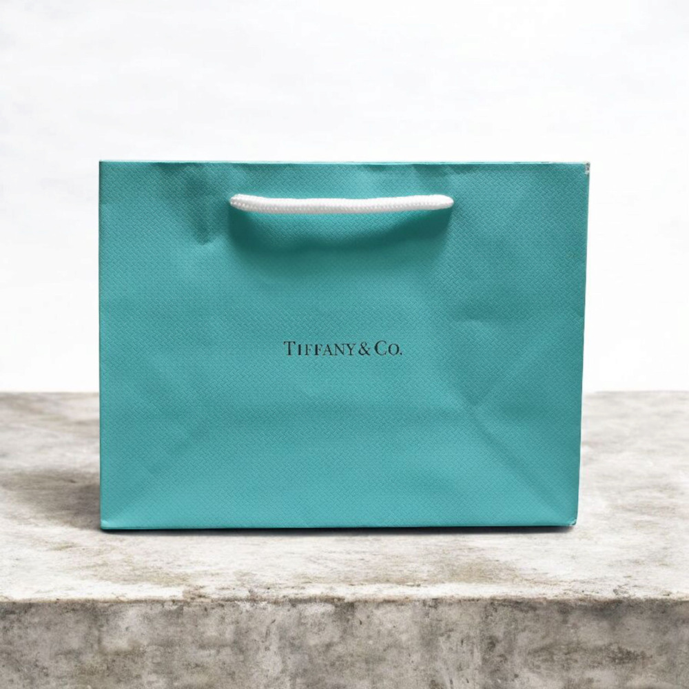Tiffany and Co Paper Bag
